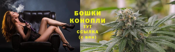 дживик Волоколамск
